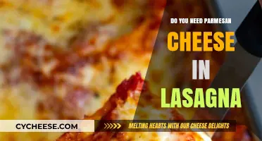 Lasagna Without Parmesan: Is It Still Worth It?