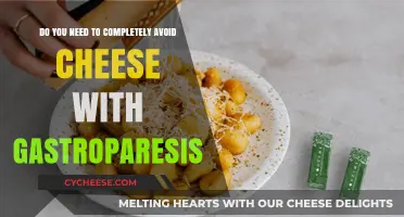 Gastroparesis and Cheese: Can You Still Enjoy Dairy Delights?