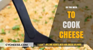 The Art of Cooking Cheese: Is It Necessary?