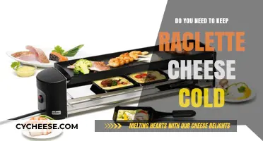 Should Raclette Cheese Be Refrigerated? Storage Tips for Perfect Melting