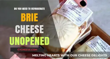 Unopened Brie Cheese: To Refrigerate or Not?