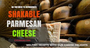 Should You Refrigerate Shaker Parmesan Cheese?
