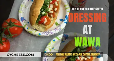 Blue Cheese Dressing at Wawa: Worth the Cost?