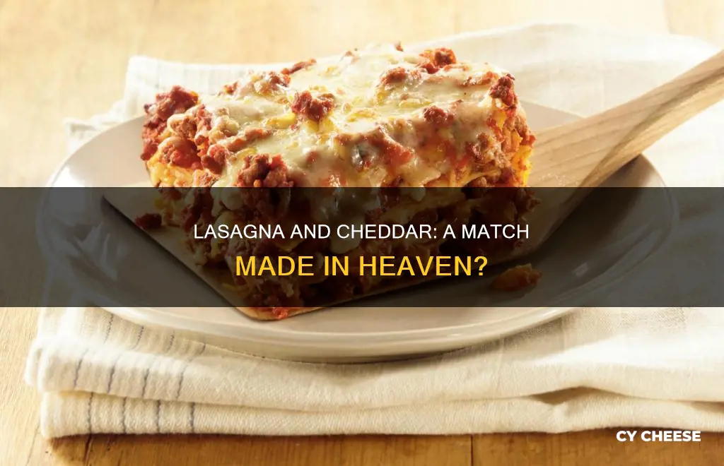 do you put cheddar cheese in lasagna