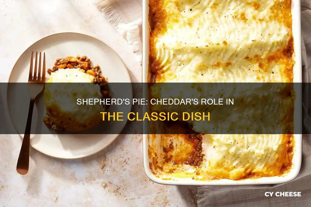 do you put cheddar cheese on shepherd