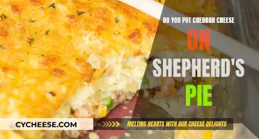 Shepherd's Pie: Cheddar Cheese, Yes or No?