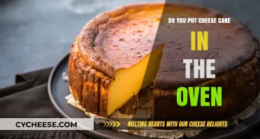 The Perfect Cheesecake: To Bake or Not?