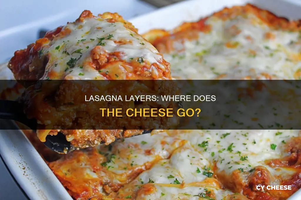 do you put cheese in between lasagna layers