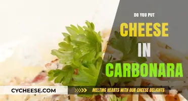 Carbonara Cheese: Yes or No?
