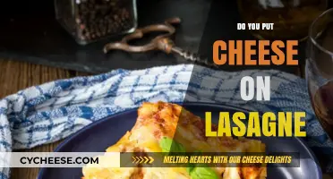 Lasagne and Cheese: A Match Made in Heaven?