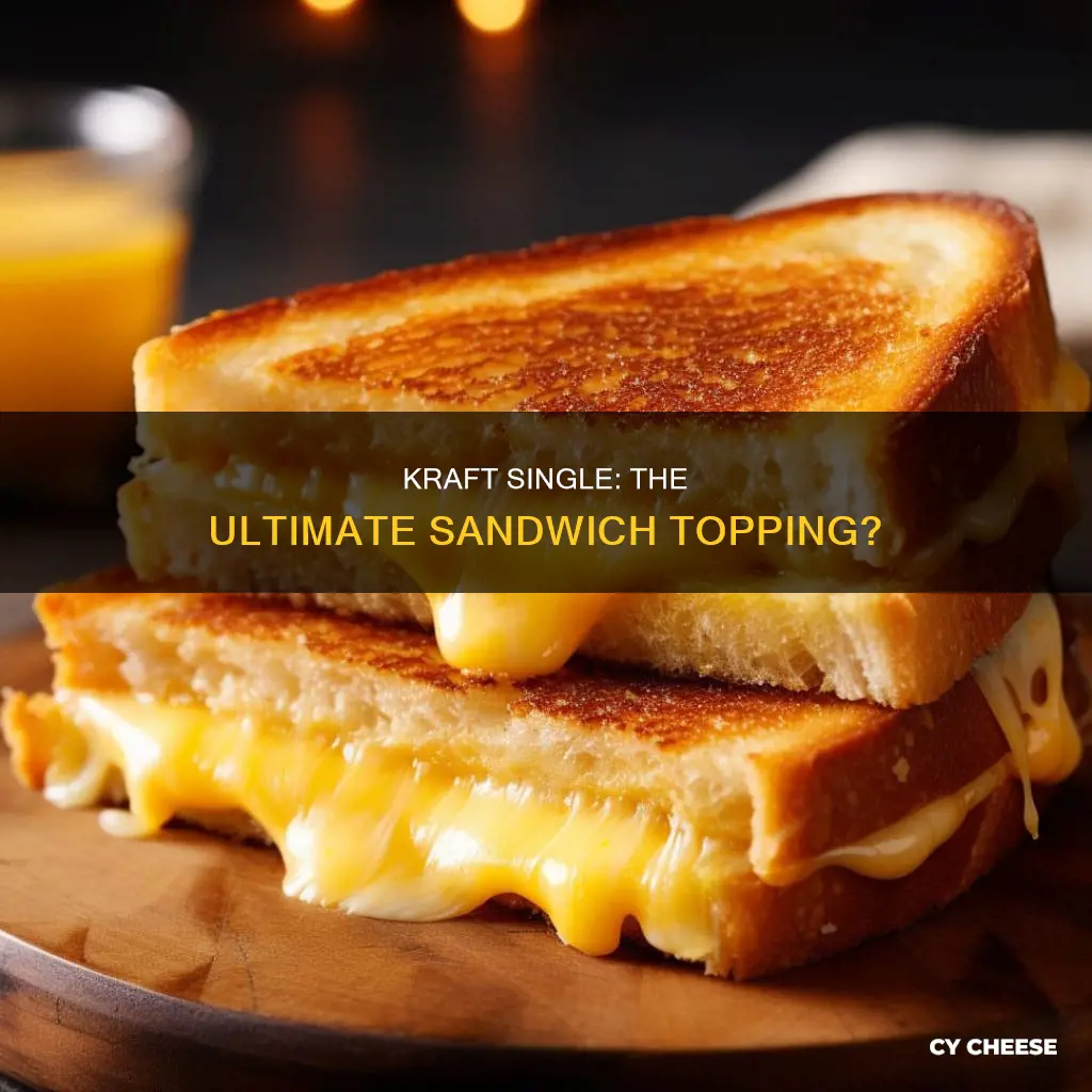 do you put kraft single cheese made ft sandwiches