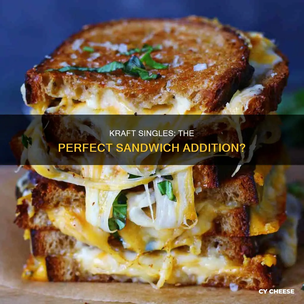 do you put kraft single cheese made ft sandwiches