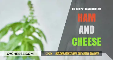 The Ultimate Ham, Cheese, and Mayo Sandwich
