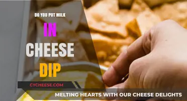 Cheese Dip: Milk or No Milk?