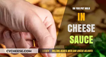 Cheese Sauce: Milk or No Milk?