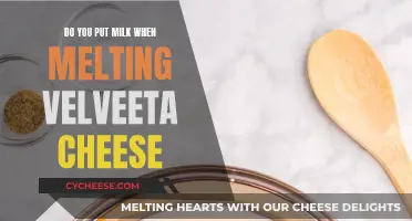 Melting Velveeta Cheese: Milk for a Smooth Blend?