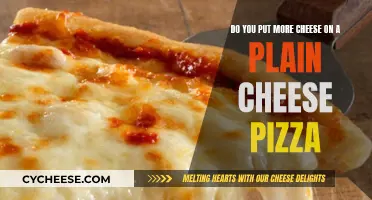 Extra Cheese, Please: Enhancing Your Plain Cheese Pizza