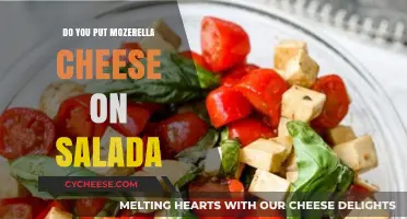 Mozzarella on Salad: Yes or No?