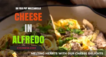Mozzarella in Alfredo: A Delicious Twist