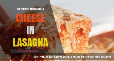 Lasagna and Mozzarella: A Perfect Pairing?