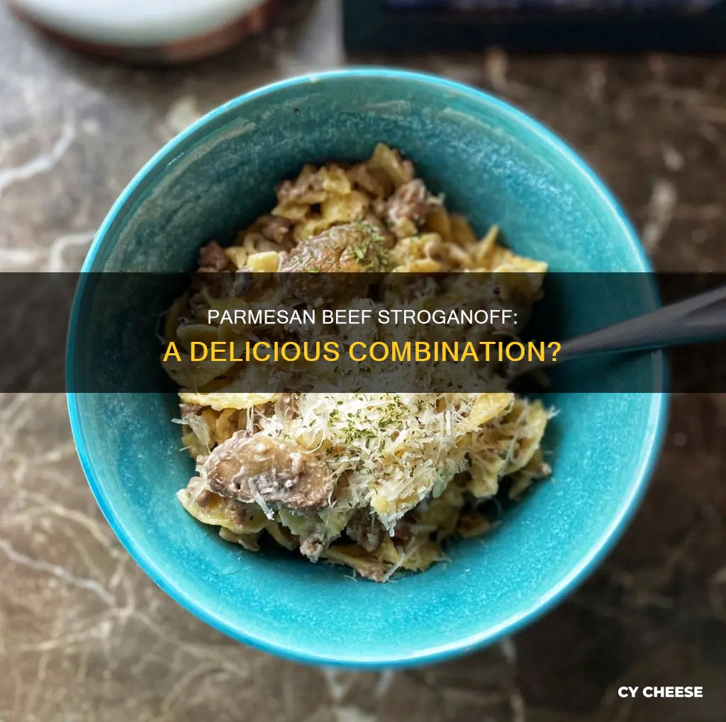 do you put parmesan cheese on beef stroganoff