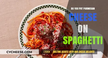 The Perfect Spaghetti: Parmesan Cheese, Yes or No?