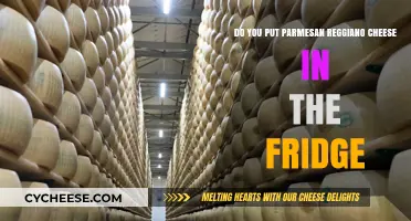 Storing Parmesan Reggiano: Fridge or Pantry?