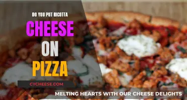 The Ultimate Ricotta Cheese Pizza Guide