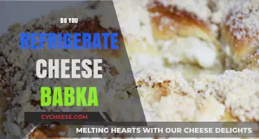 Should Cheese Babka Be Refrigerated? Storage Tips for Freshness