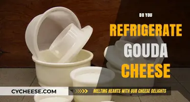 Should Gouda Cheese Be Refrigerated? Storage Tips for Freshness