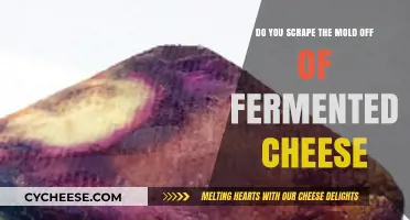 Scraping Mold from Fermented Cheese: Safe Practice or Risky Move?