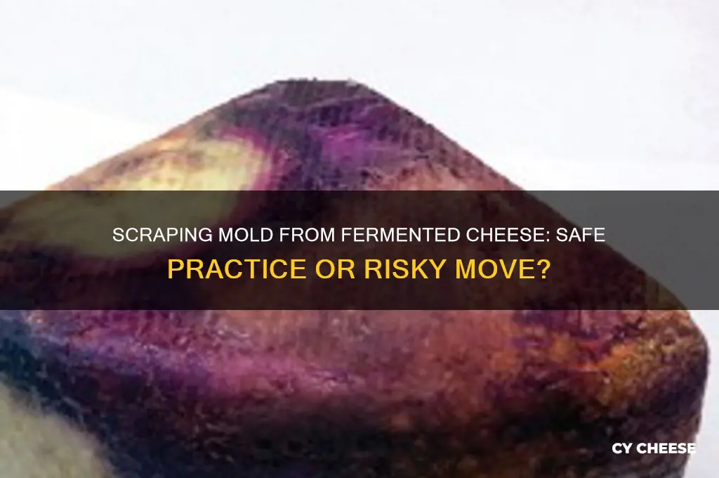 do you scrape the mold off of fermented cheese