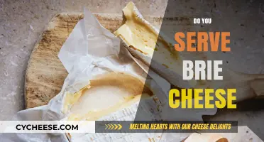 The Ultimate Guide to Serving Brie Cheese