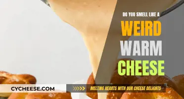 Weird Warm Cheese: Why Do I Smell Like This?
