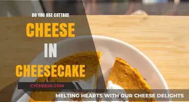 Cottage Cheese in Cheesecake: A Surprising Twist or Tasty Trend?