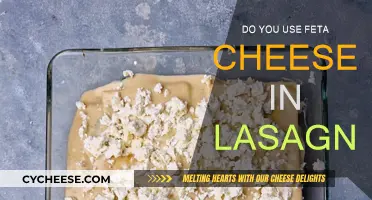 Lasagna with Feta: A Delicious Twist