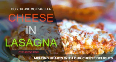Lasagna and Mozzarella: A Perfect Match?
