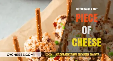 Tiny Cheese Treats: Indulge in a Bite-Sized Delight or Not?