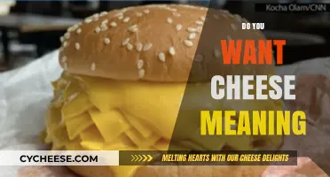 Do You Want Cheese Meaning: Decoding the Quirky Phrase's Hidden Intent