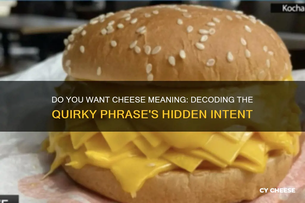 do you want cheese meaning