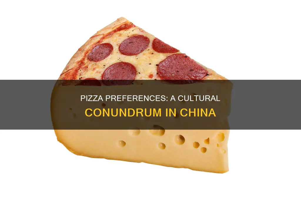 do you want large cheese pizza in chinease