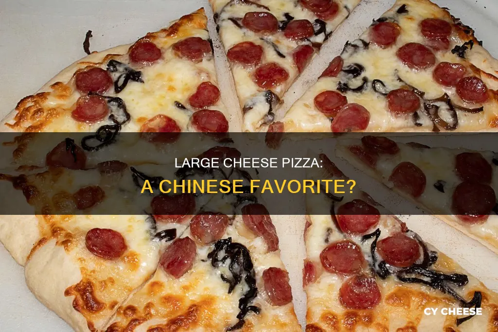 do you want large cheese pizza in chinease