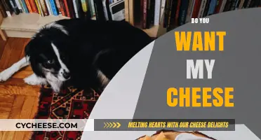 Do You Want My Cheese? Navigating Change and Embracing New Opportunities