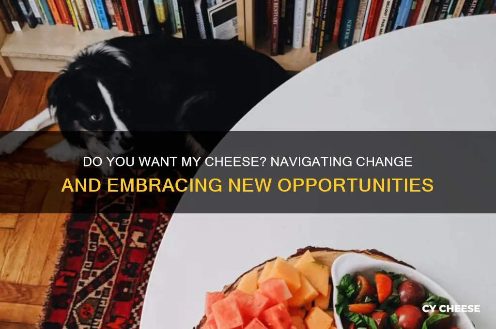 do you want my cheese