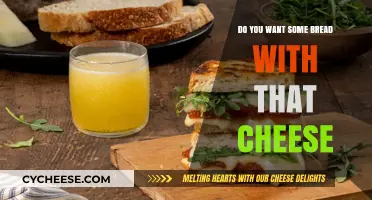 Pairing Perfection: Bread and Cheese Combos You Can’t Resist