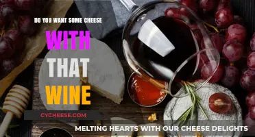 Pairing Perfection: Elevating Your Wine Experience with the Right Cheese