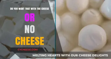 Cheese or No Cheese: The Ultimate Decision for Your Favorite Dish