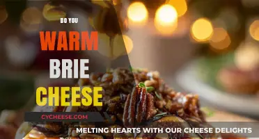 How to Perfectly Warm Brie Cheese for Maximum Flavor and Texture