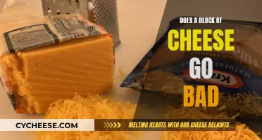 Cheese Blocks: How Long Do They Last?