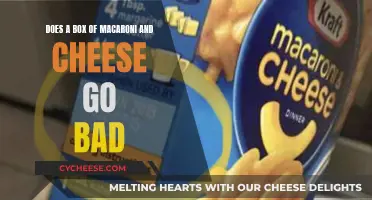 Mac and Cheese: How Long Does it Really Last?